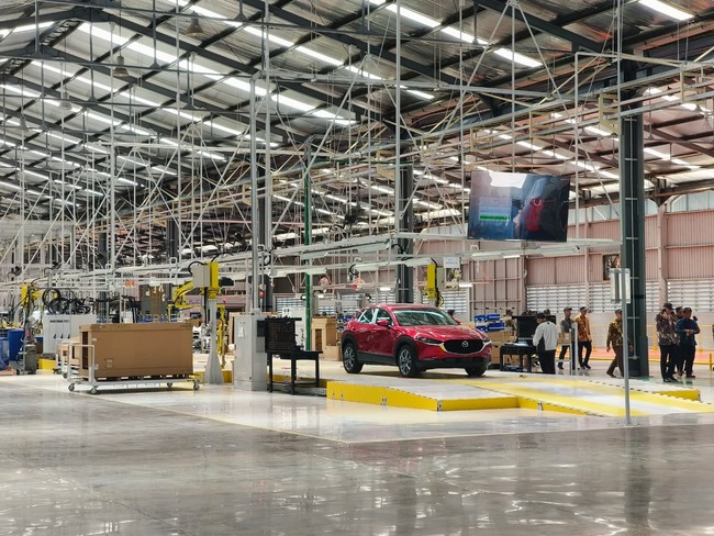 Mazda Plant 03