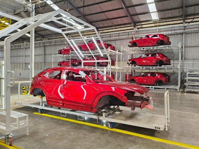 Mazda Plant 04