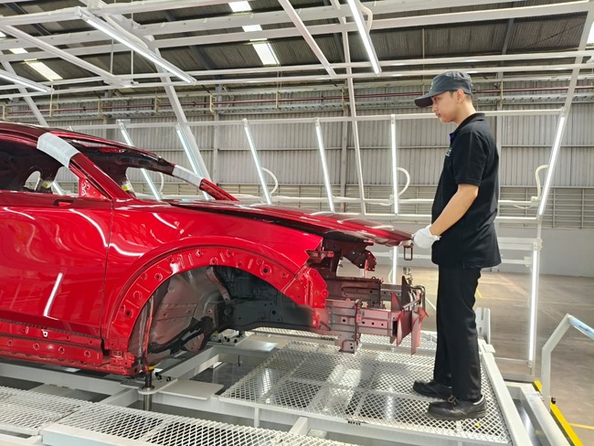 Mazda Plant 06