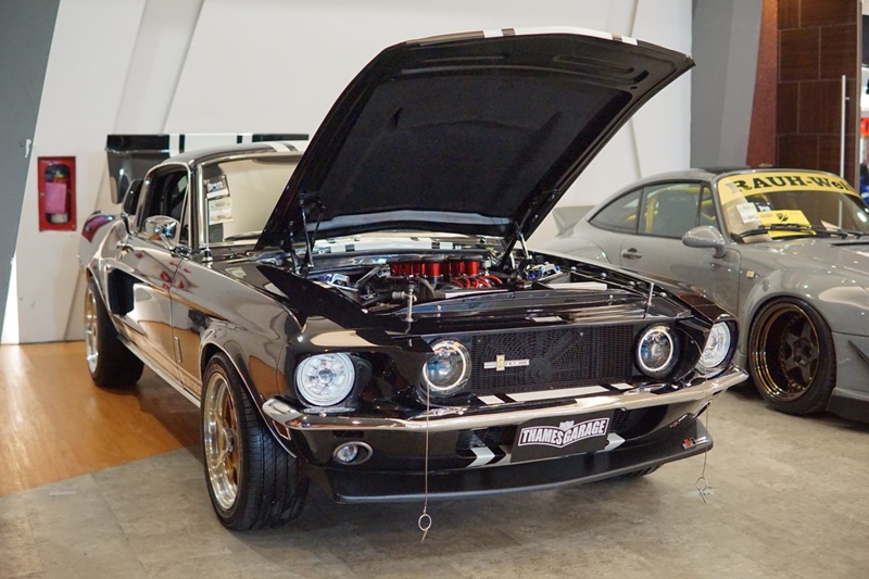 Golden Ticket Mustang 1536x1024