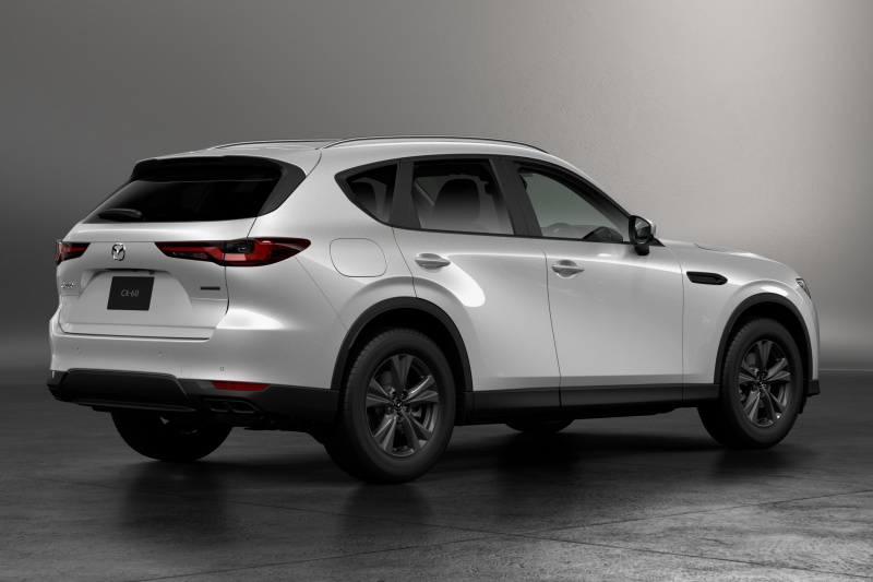 CX 60 Sport Quarter Back 2 1