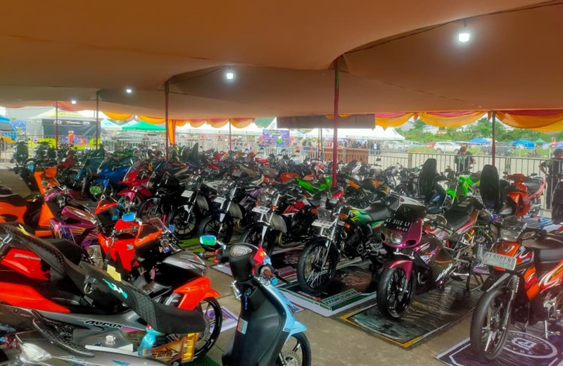 borneo 2